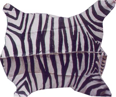 Zebra Skin (2m x 1.5m) [n]