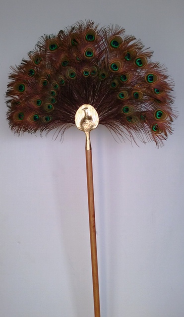Peacock Feather Stands 2.2m (2 available)